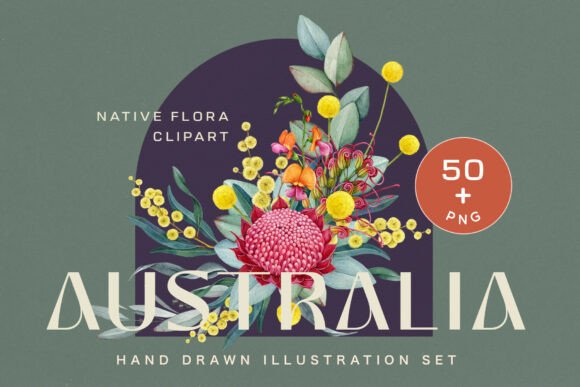 Download Australia Flora Watercolor Clipart - Australia Collection