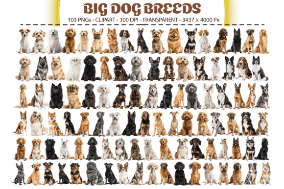 Download Big Dog Breeds Clipart – 103 PNGs - Clipart Collection