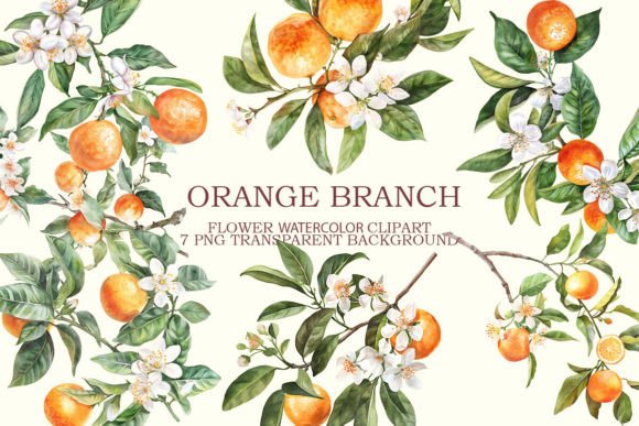 Download Orange Branch Clipart Bundle - Clipart Collection