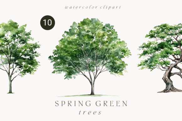 Download Watercolor Green Tree Forest Clipart - Clipart Collection