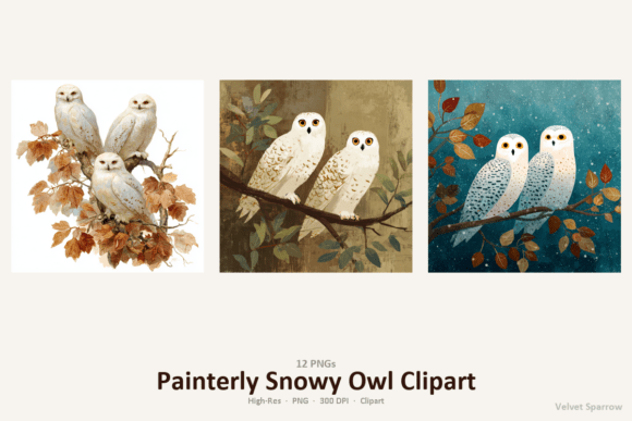 Download Painterly Snowy Owl Clipart - Paint Collection