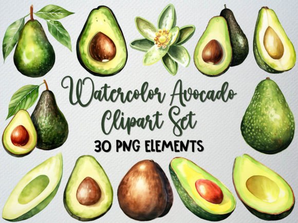 Download Watercolor Avocado Clipart Set, 30 PNG - Clipart Collection